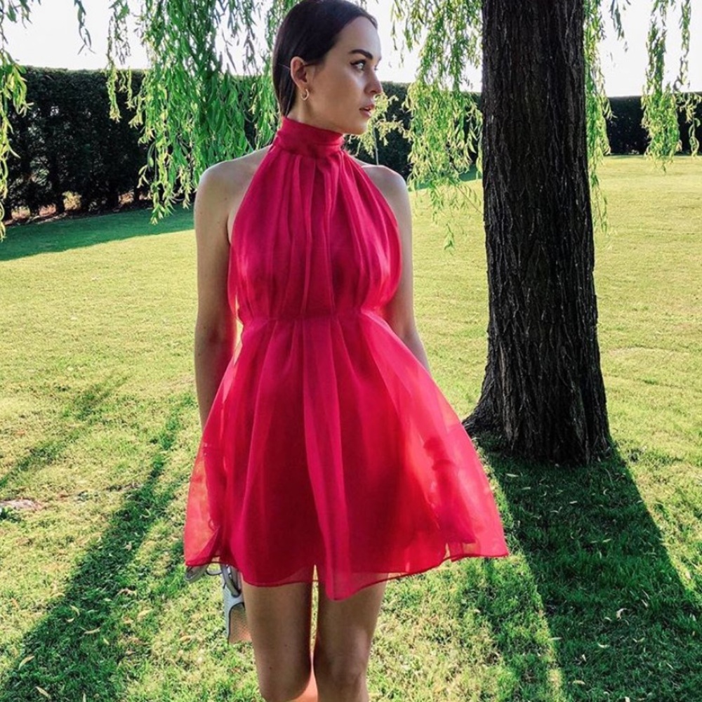 LAST 1 ZARA NWT Limited Edition Mini Organza Dress - Picture 7 of 8